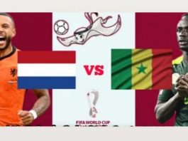 Prediksi Senegal VS Belanda Piala Dunia Qatar 2022